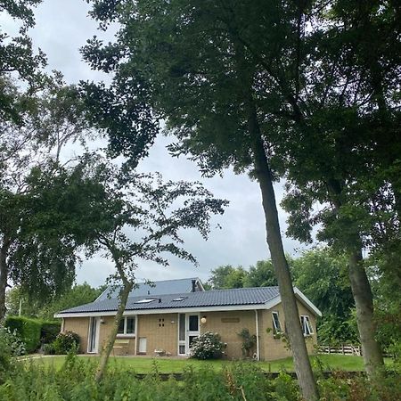 De Vier Winden Villa Hindeloopen Eksteriør billede